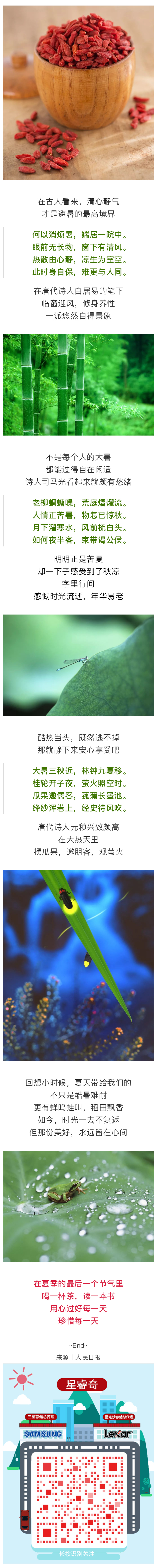 今日大暑